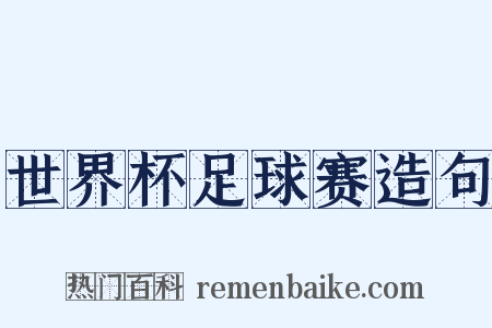 世界杯足球赛造句是什么意思的图片
